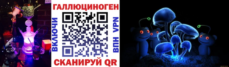 Купить закладки  Хвалынск  Псилоцибиновые грибы Magic Shrooms 